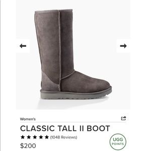 Classic Tall Grey UGGs